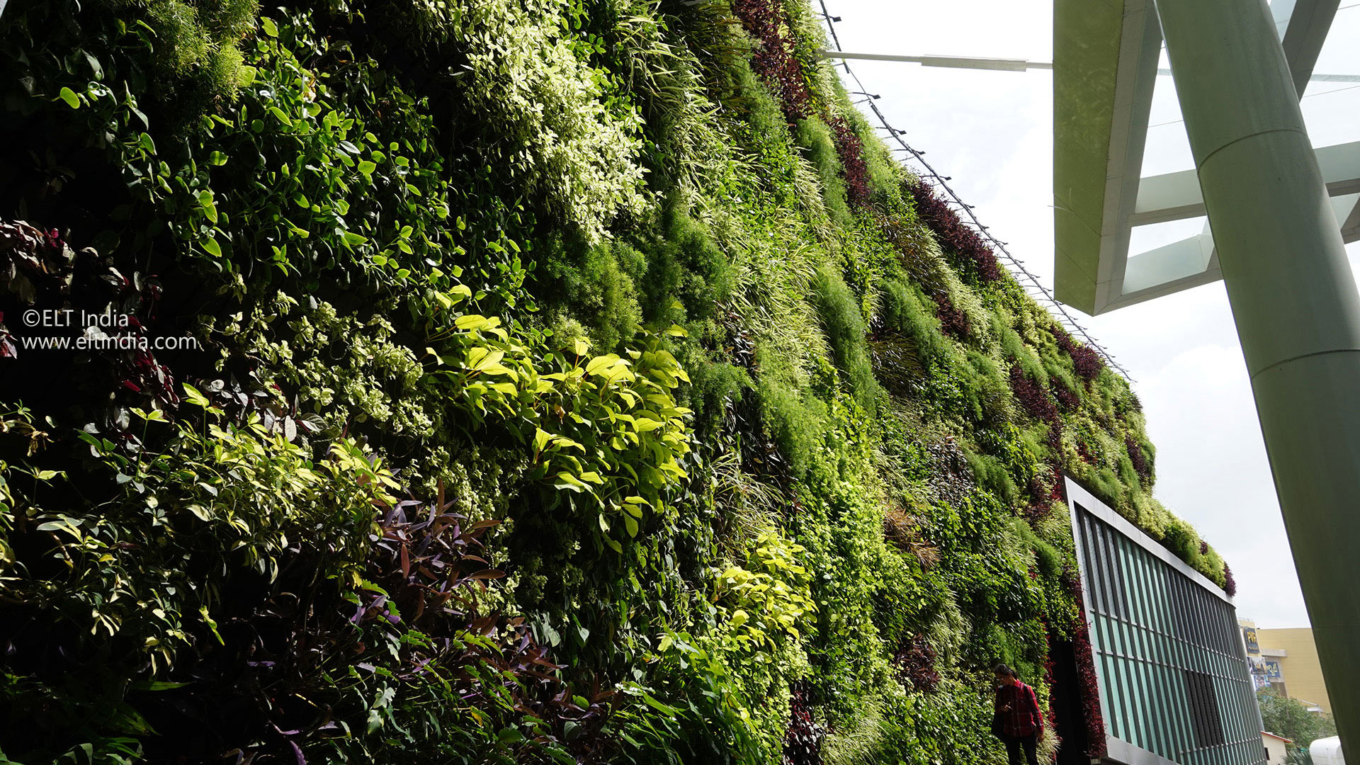Vertical Garden Company - product Omni green Bio wall