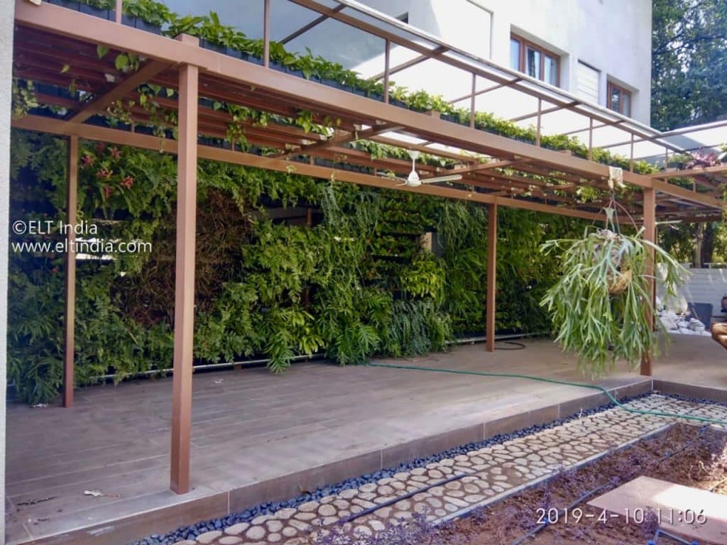 Living Pergola: Enhance Your Green Wall System